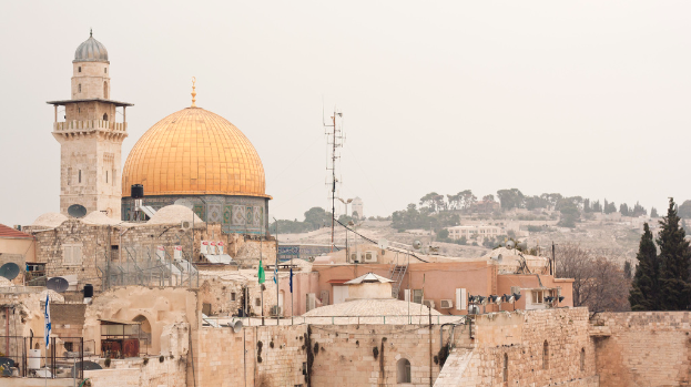 Mehrere Ziegelgebäude mit Satellitenschüsseln und Klimaanlagen vor einem Hintergrund aus Bäumen und Himmel