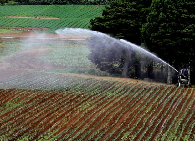 Landwirtschaftliches Feld mit verschiedenen Kulturen, eine Bewässerungsmaschine im Vordergrund und eine Baumreihe mit weiteren Kulturen im Hintergrund.