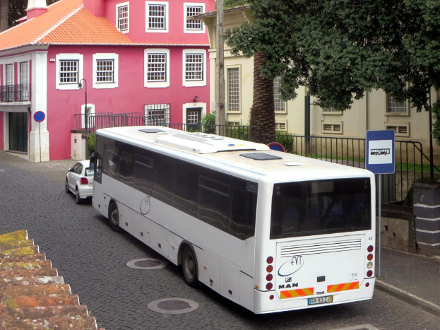 Fahrzeuge auf einer StraÃŸe mit Masten, Schildern und Absperrungen im Hintergrund, dahinter BÃ¤ume, Pflanzen und GebÃ¤ude.