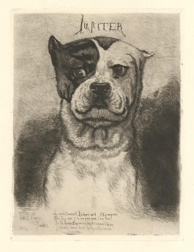 Eine Schwarz-Weiß-Zeichnung eines Pitbulls mit traurigem Gesichtsausdruck, gesenktem Kopf und aufgestellten Ohren auf einem Blatt Papier mit Text.