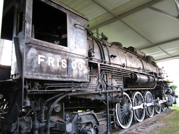Ein Zug ist auf einem Bahngleis mit Gras darunter und einer Decke mit Pfählen darüber zentriert.