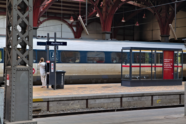 Ein Zug fährt auf einem Bahnsteig ein, mit einer Person in der Nähe, einem Müllcontainer, Stützen, Informationsschildern und Deckenleuchten.