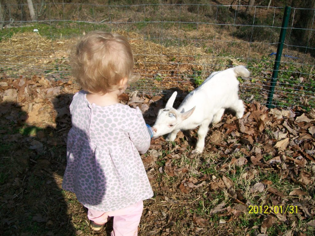 Ein Kind steht neben einem Zaun mit einem Tier, umgeben von trockenen Blättern auf dem Gras, mit einem Datum in der rechten unteren Ecke.