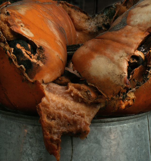Ein Stück Fleisch liegt auf einem Tisch.