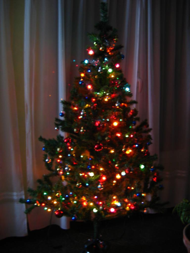 Ein mit Lichtern geschm├╝ckter Weihnachtsbaum steht vor einem Vorhang und einer Topfpflanze.