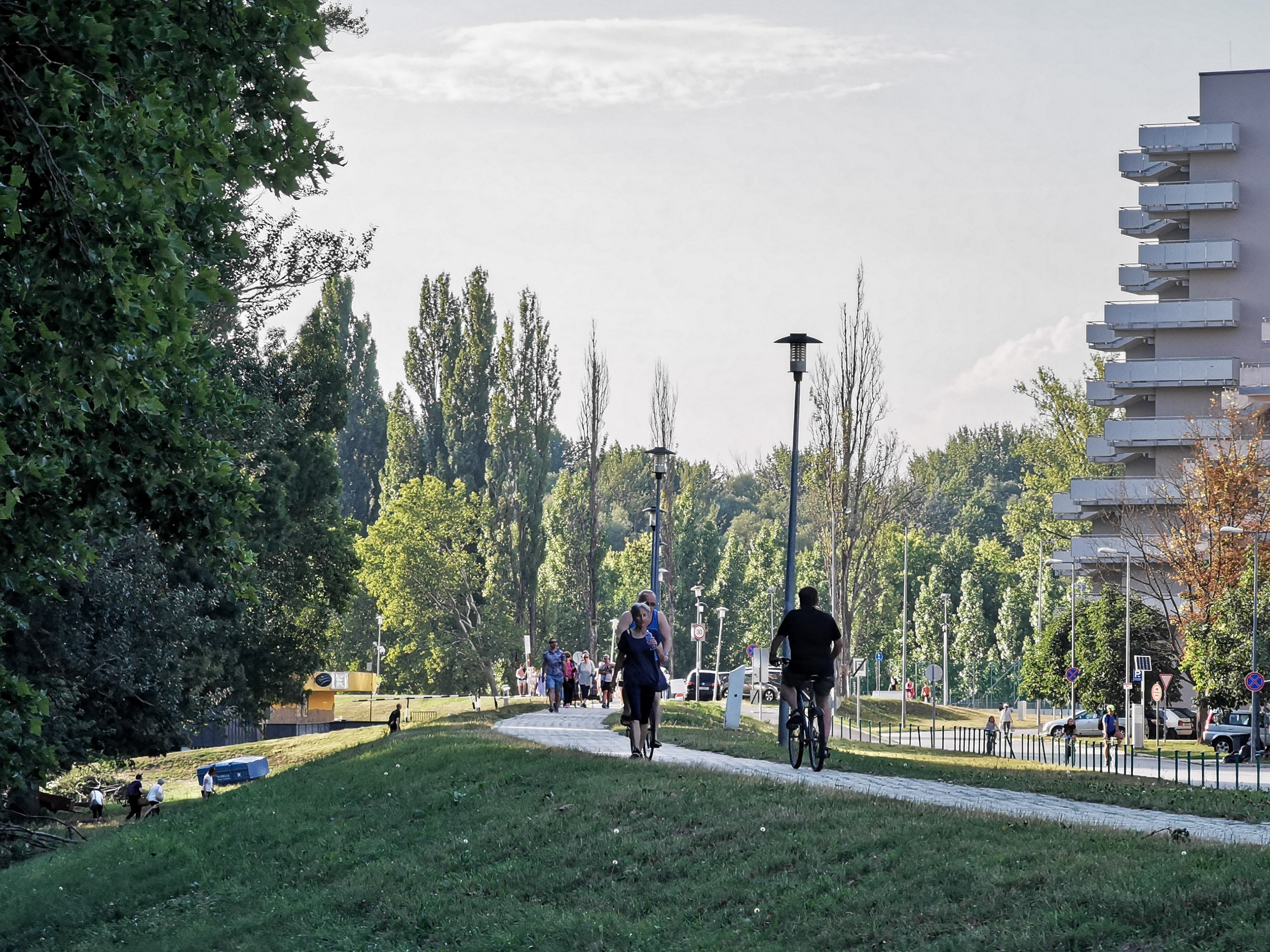 Gruppe von Menschen, die auf Fahrrädern eine Parkweg entlangfahren