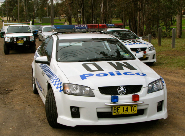Eine Szene mit zahlreichen Autos auf grüner Wiese, umgeben von vielen Bäumen und Pflanzen, mit Text auf einigen Autos.