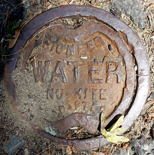 Abdeckplatte mit der Aufschrift "Wasser" auf dem Boden mit trockenen Blättern und Gras drumherum.