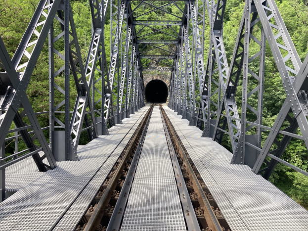 Stahlbrücke mit einem Zug, der durch eine tunnelartige Struktur fährt, umgeben von Bäumen.
