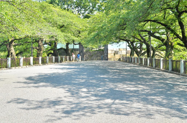 Eine Person geht auf einer Straße, die von Bäumen auf beiden Seiten gesäumt ist.