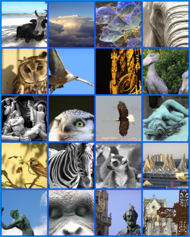 Ein Collage mit verschiedenen Tieren, darunter eine Kuh, ein Zebra und eine Eule, sowie mehrere Skulpturen.