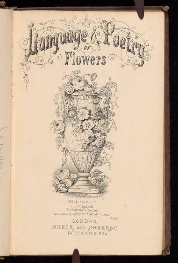 Offenes Buch mit dem Titel "Sprache und Poesie der Blumen" von Milner und Sowerby (1867), das eine Vase mit Blumenillustration zeigt.