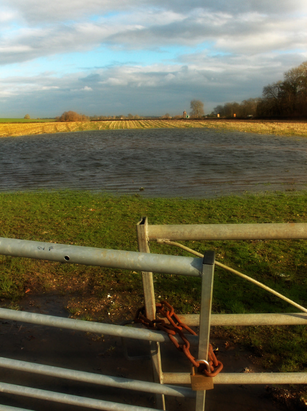Eine Graslandschaft mit einer Begrenzung unten, einem Gewässer in der Mitte und Bäumen auf der rechten Seite.