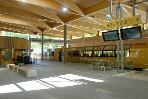 Ein belebter Bahnhof mit einem stehenden Zug auf den Schienen, umgeben von Bänken, Tischen, Pfosten, Schildern, Laternen und Bäumen, während Menschen auf den Zug warten.