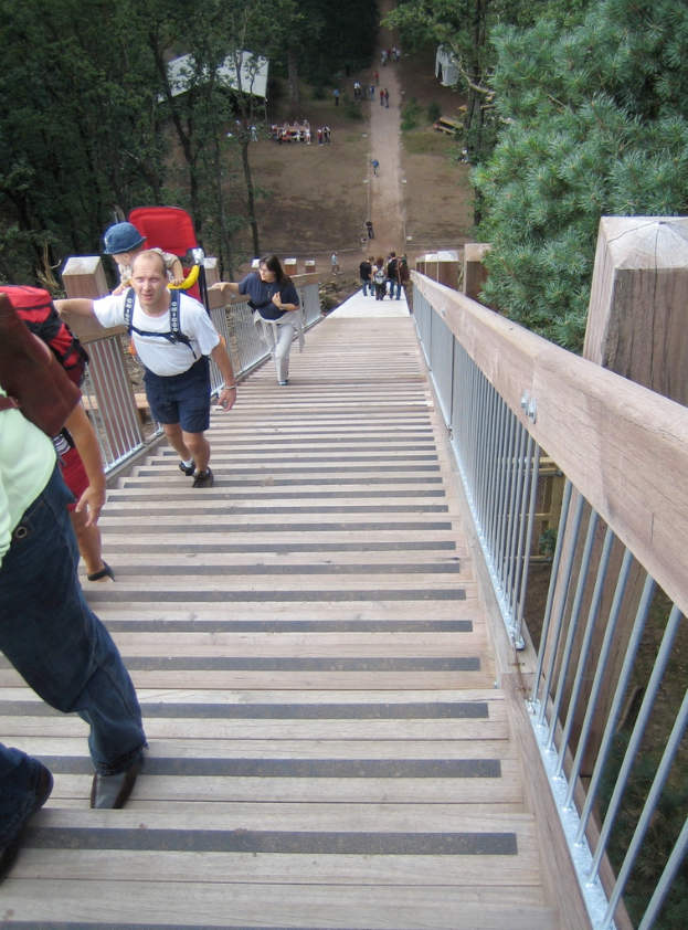 Eine Gruppe von Menschen sitzt unter den Sternen in Zelten und auf Bänken, umgeben von Bäumen im Hintergrund.