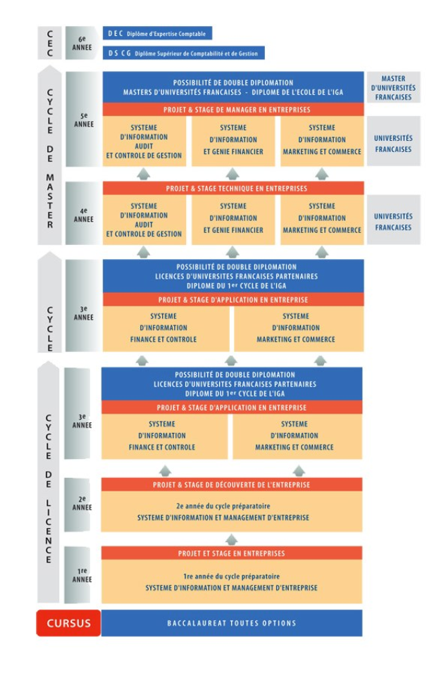 Diagramm, das die organisatorische Struktur eines Unternehmens mit interconnected boxes darstellt, die die verschiedenen Phasen des Geschäfts growths and developments darstellen, begleitet von beschreibendem Text.