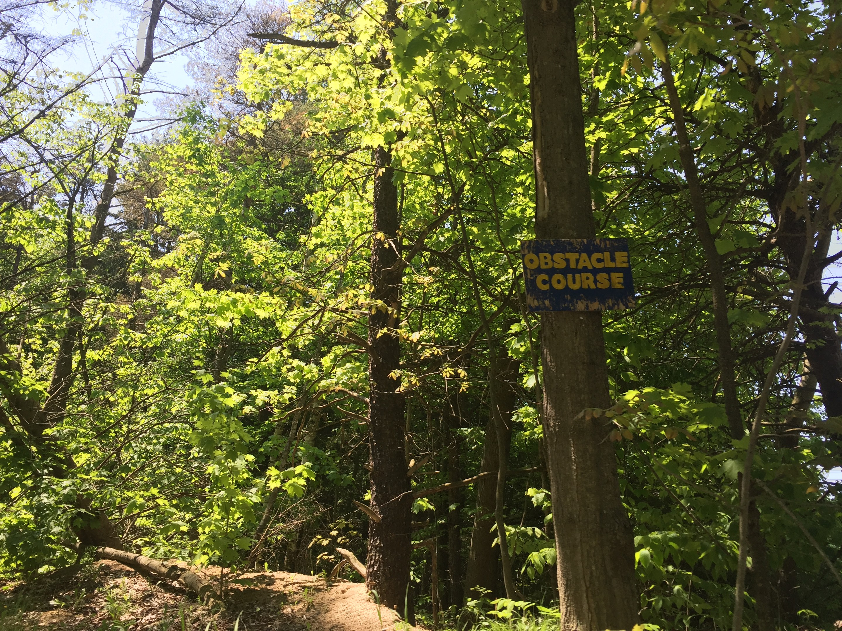 Ein Schotterweg in einem Waldgebiet mit einem Schild, auf dem "Hindernislauf" steht, und Bäumen im Hintergrund.