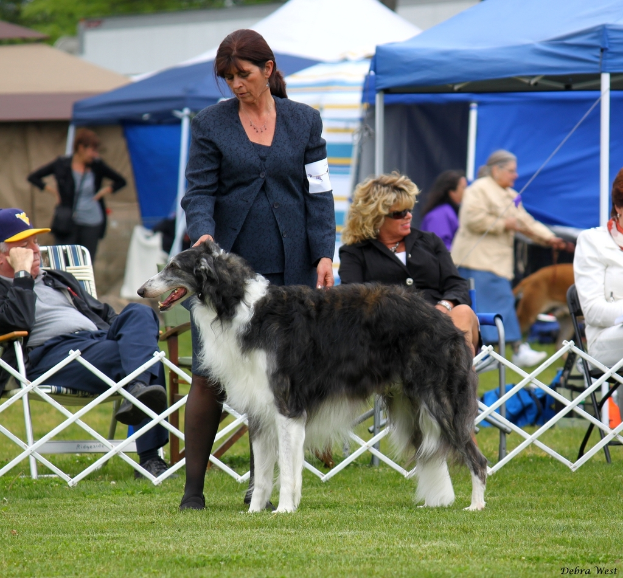 Eine Gruppe von Menschen, einige stehend und einige sitzend, mit einem Hund in der Mitte, Gras unten, drei Zelte und ein Baum im Hintergrund.
