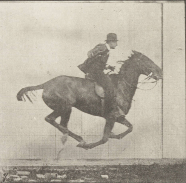 Ein Mann reitet ein Pferd.