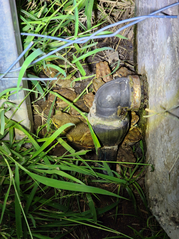 Ein Metallrohr liegt im Gras neben einer Wand mit verstreuten Steinen und einem Wasserzähler auf der linken Seite.