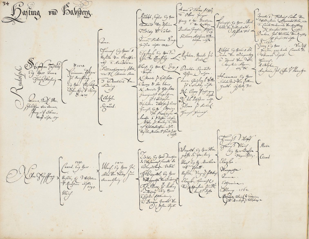 Ein altes Buch mit handgeschriebener Familiengeschichte, das wahrscheinlich Namen von Familienmitgliedern enthält, die in einen Autounfall verwickelt waren.